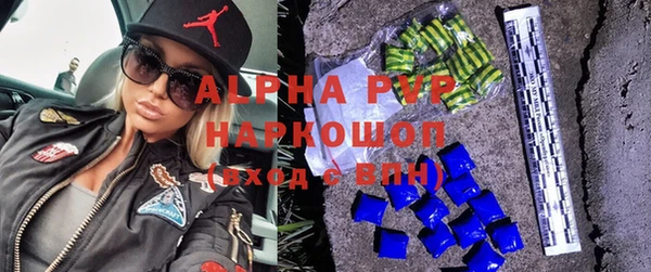 стафф Алексин